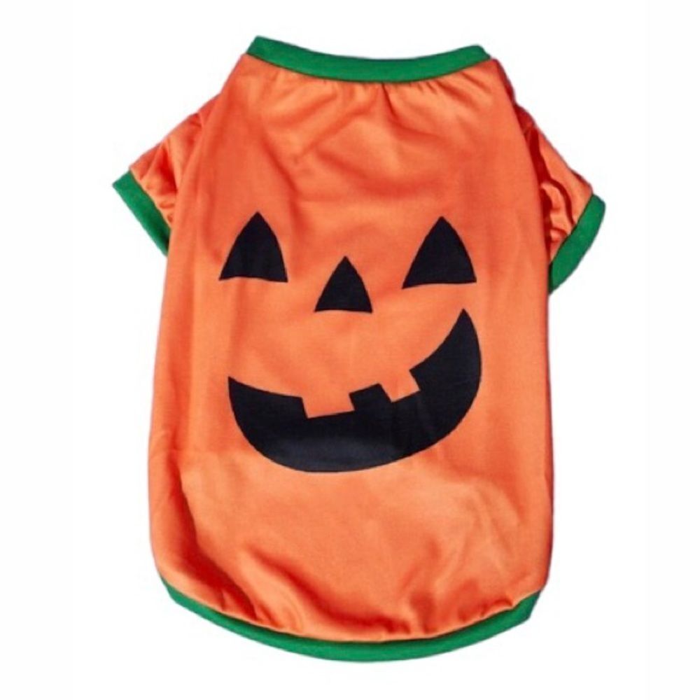 Pumpkin 🎃 Pet Shirt